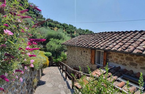 Petrognano Villa | 70 m² Villa ∙ 2 bedrooms ∙ 4 guests