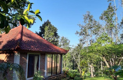 Wongaya Gede Bed & Breakfast | 85 m² Bed and breakfast ∙ 4 guests