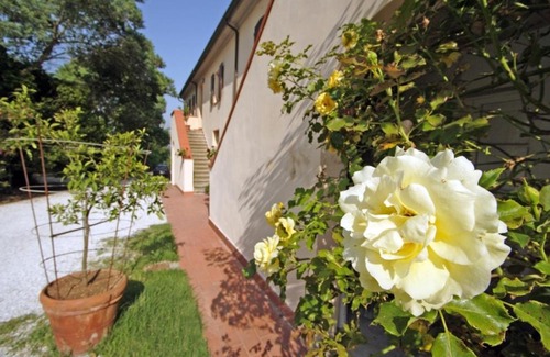 Crespina Apartment | Agriturismo La Serra - Bellavista