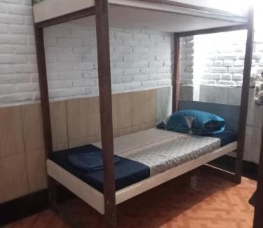 Lovina Hostel | Apollo Hostel