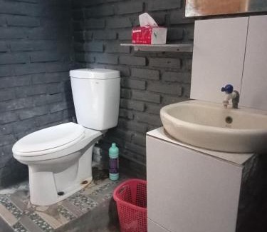 Lovina Hostel | Apollo Hostel
