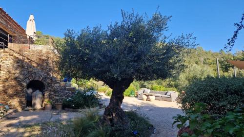 La Garde-Freinet House | Chambres d'hôtes Le Pontillaou