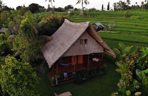 Sukasada House | Cute Eco Cottage Near 7 Waterfalls