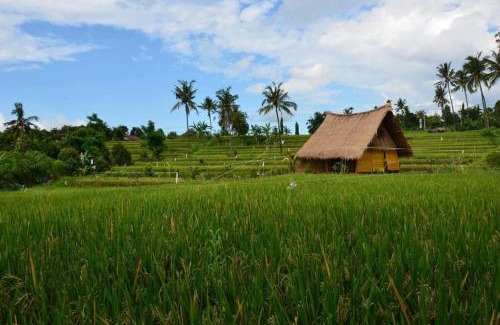 Sukasada House | Cute Eco Cottage Near 7 Waterfalls