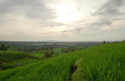 Penebel Hotel | Dukuh Baturan Villa