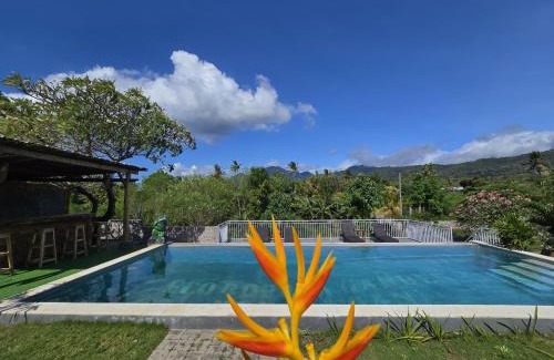 Pejarakan Hotel | Eco Moringa Garden