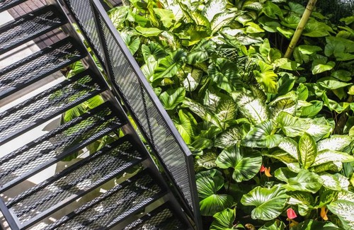Pererenan Hostel | Hostel ∙ 8 guests