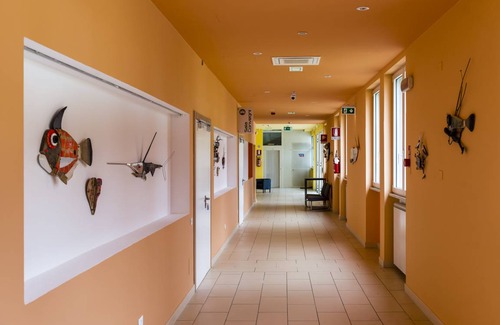 Calambrone Hostel | Hostel ∙ 8 guests