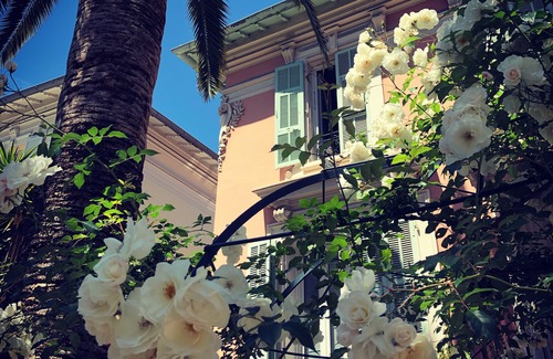 Mantega Hotel | Hotel Villa Rose