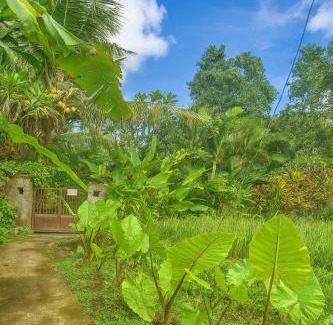 Penestanan Apartment | Jungle Hideaway Villas 4 - River Cafe