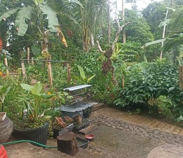 Selemadeg Other | Jungle hous