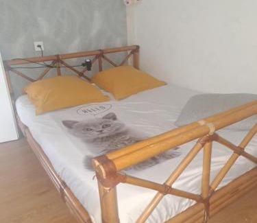 Saint Maurice Apartment | La bella vista