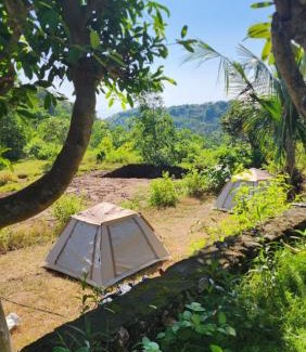Penida Island Other | Nora Natural Tent