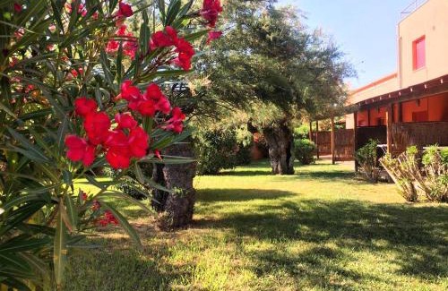 Calambrone Apartment | Regina Del Mare Holiday Apartments