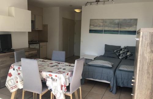 Saint-Raphael Apartment | Studio Climat. avec Balcon Proche Plage et Commerces, Wi-Fi Gratuit - FR-1-466A-27