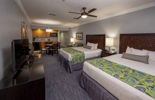 Orange Lake Apartment | Studio flat ∙ 1 bedroom ∙ 5 guests
