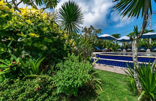 Mushroom Bay Villa | The Cozy Lembongan (Deluxe Hut Pool View)
