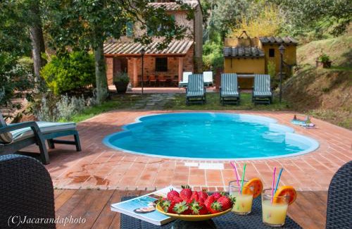 Camaiore Villa | Villa la Pieve