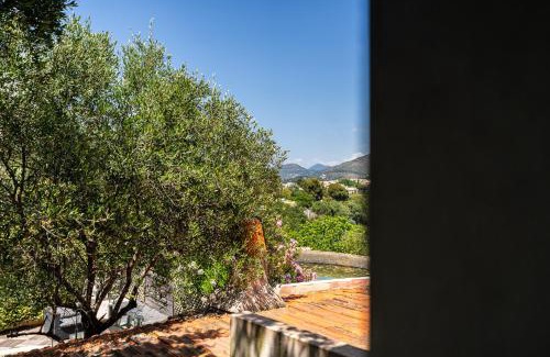 Nice Villa | Villa Serenity