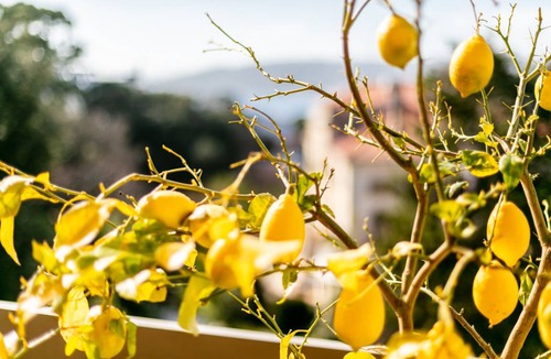 Cap-d'Antibes Apartment | 120 m² Apartment ∙ 2 bedrooms ∙ 4 guests