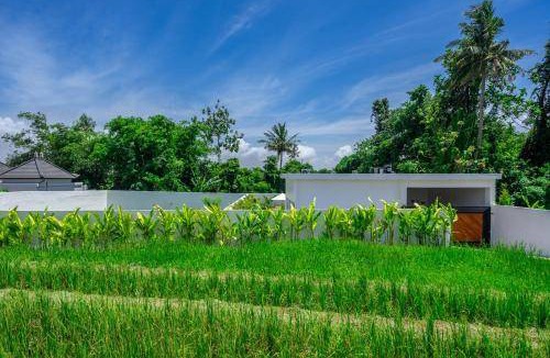 Munggu Villa | 150 m² Villa ∙ 2 bedrooms ∙ 4 guests