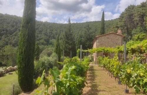 Buti House | 2 houses with private pool 20km from Pisa, Lucca and 30 from the sea
