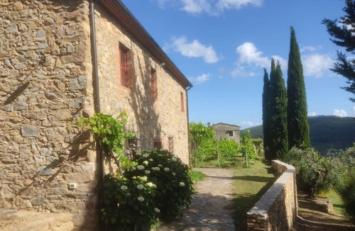 Buti House | 2 houses with private pool 20km from Pisa, Lucca and 30 from the sea