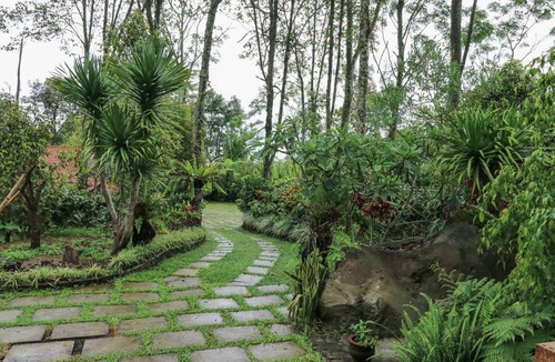 Pupuan House | 20 m² Bungalow ∙ 2 guests