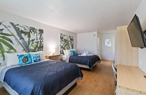 Campbell Apartment | 22 m² Apartment ∙ 1 bedroom ∙ 4 guests