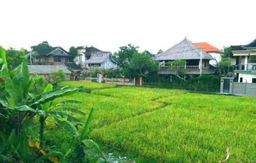 Nyuh Kuning Bed & Breakfast | 24 m² Bed and breakfast ∙ 2 guests