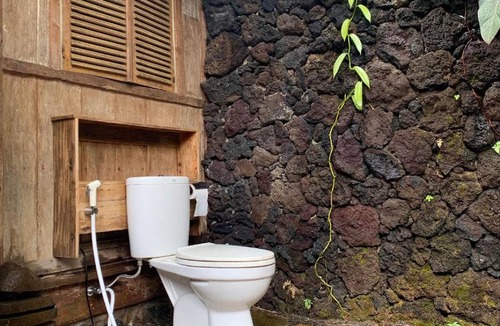 Kubutambahan Villa | 27 m² Villa ∙ 1 bedroom ∙ 3 guests