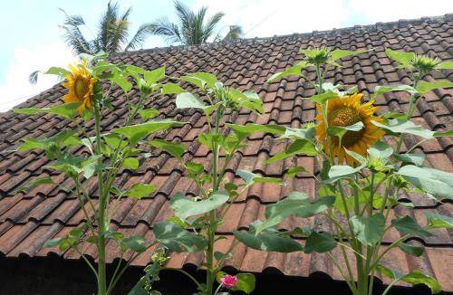 Sidemen Bed & Breakfast | 28 m² Bed and breakfast ∙ 1 bedroom ∙ 3 guests