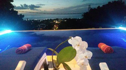 Temukus Bed & Breakfast | 33 m² Bed and breakfast ∙ 3 guests