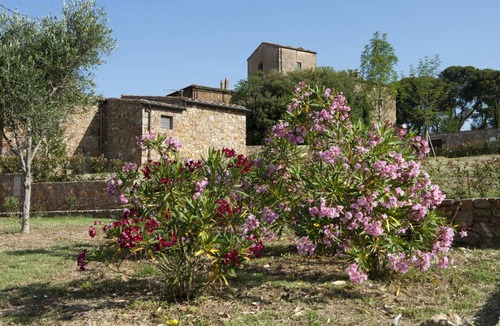 Casalappi Resort | 40 m² Resort ∙ 1 bedroom ∙ 3 guests
