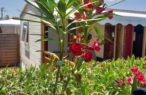 Frejus House | 42 m² House ∙ 3 bedrooms ∙ 6 guests