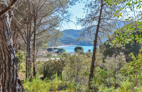 Procchio Apartment | 50 m² Apartment ∙ 2 bedrooms ∙ 4 guests