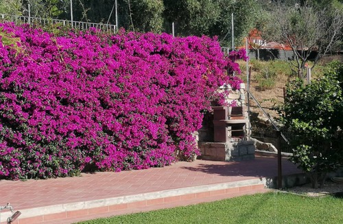 Patresi House | 75 m² House ∙ 2 bedrooms ∙ 5 guests