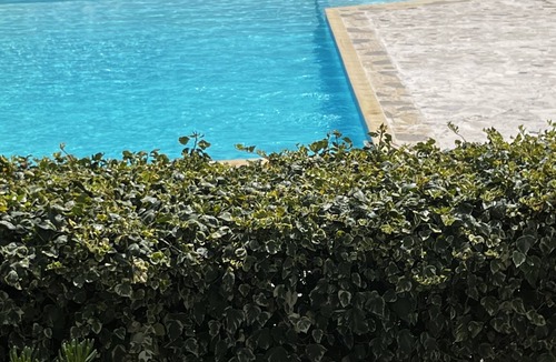 Cros-de-Cagnes Apartment | 94m2 air-conditioned apartment sea view, swimming pool 3 bedrooms 50m2 terrace Pkg