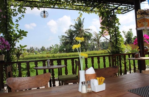 Penestanan Villa | A stylish Villa with Pool & Kitchen and greenery garden