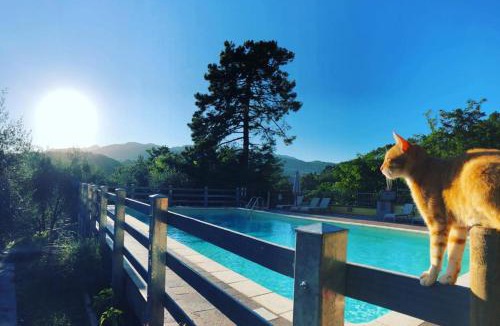 Pescaglia House | Agriturismo Il Pino