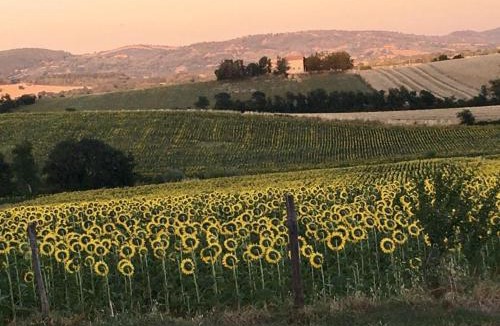 Manciano Apartment | Agriturismo Barbicate