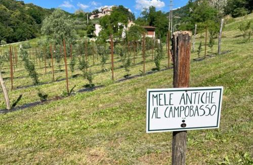 Marostica House | Agriturismo Fattoria Togonegro