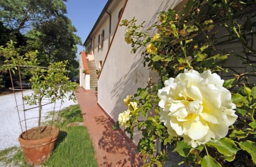 Crespina Apartment | Agriturismo La Serra - Bellavista