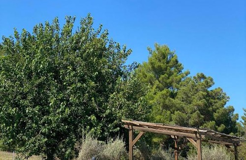 Riparbella House | Agriturismo Le Pellicce