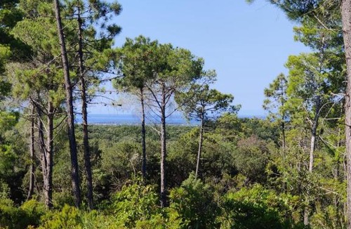 Riparbella House | Agriturismo Le Pellicce