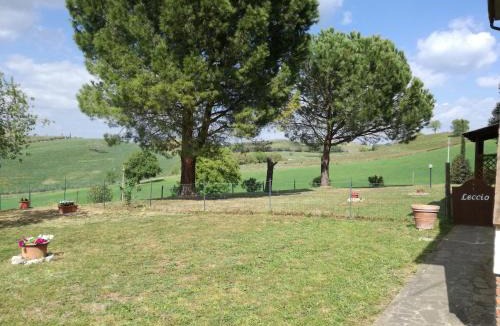 Campagnatico Apartment | Agriturismo Podere Selvette