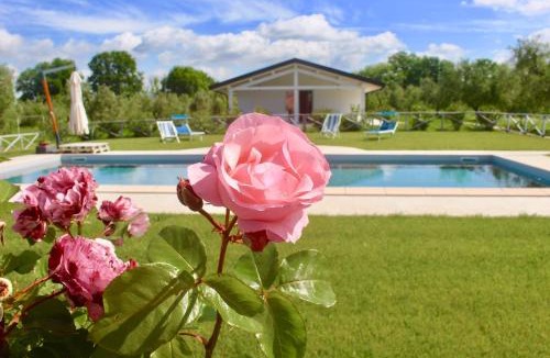 Donoratico House | Agriturismo Re di Fiori