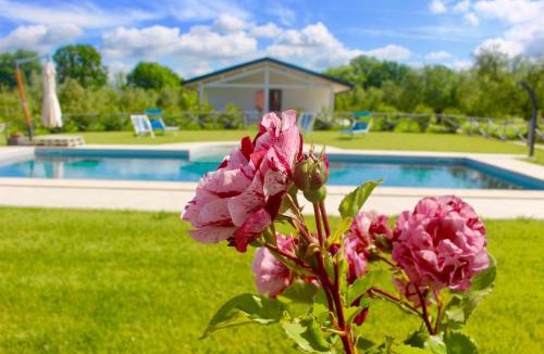 Donoratico House | Agriturismo Re di Fiori