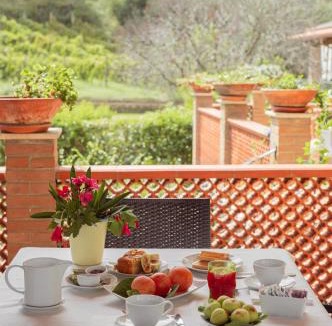 Casal Velino House | Agriturismo San Giorgio