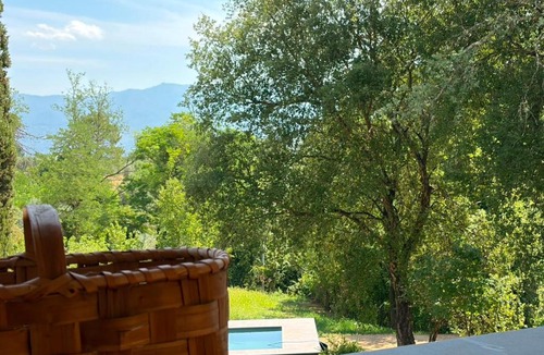 Figline e Incisa Valdarno Villa | Agriturismo Villa Conti